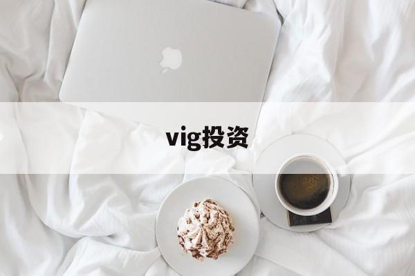 vig投资(vigo是哪个国家港口)